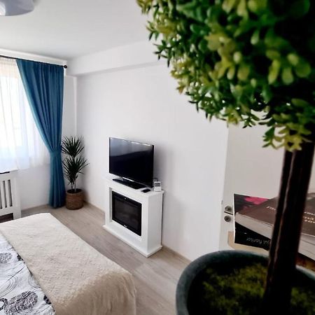 Appartement Cozy Studio à Braşov Extérieur photo