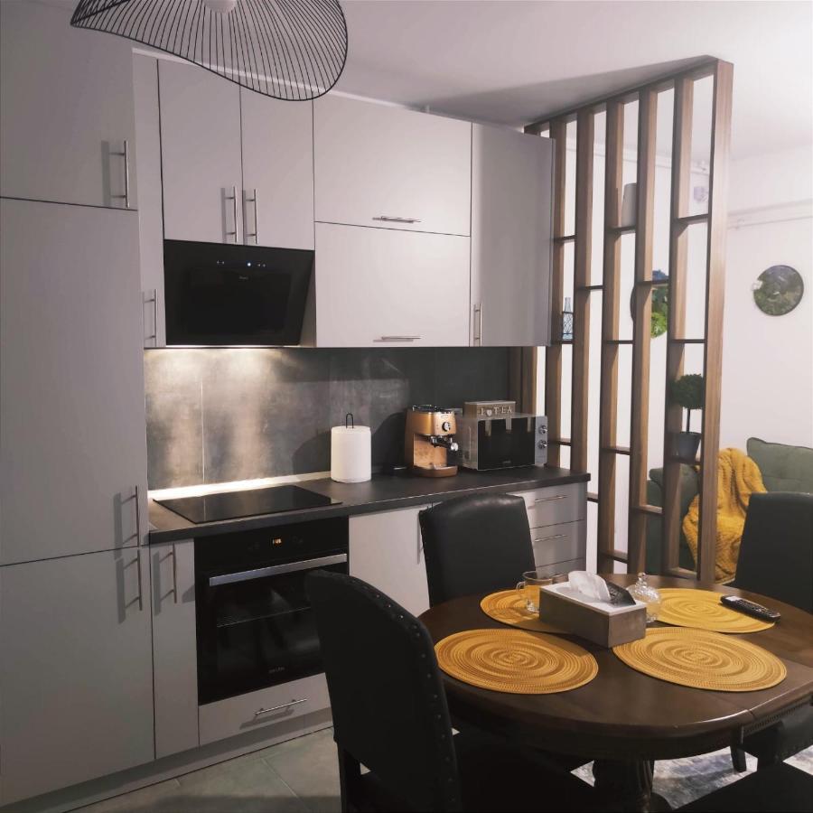 Appartement Cozy Studio à Braşov Extérieur photo